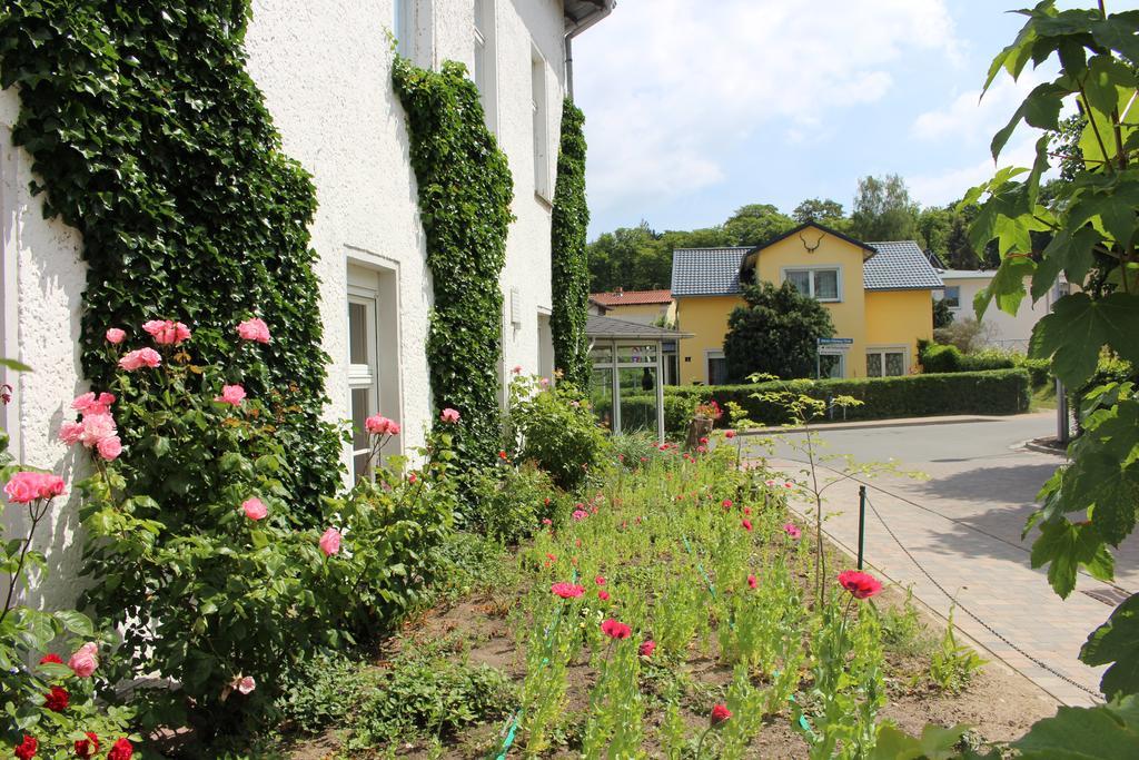 Baltisches Haus Pension Moll 치노비츠 외부 사진